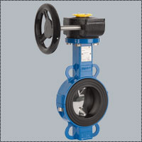 Butterfly Valve SBE